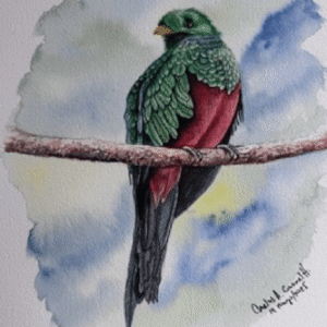 EL QUETZAL CABECIDORADO